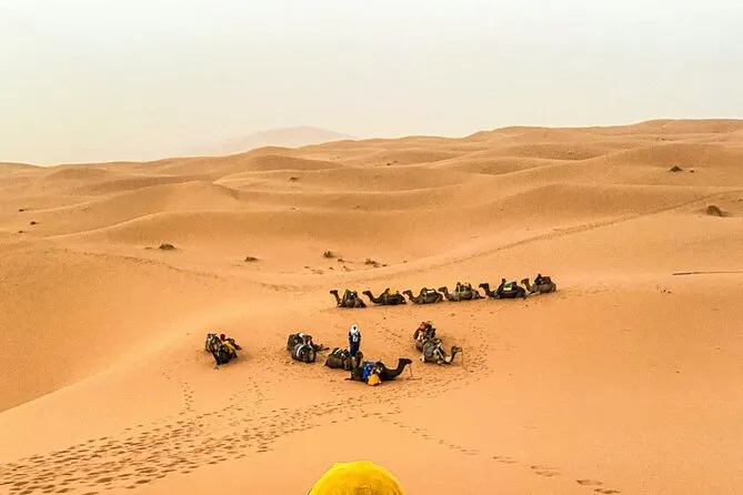Désert Merzouga