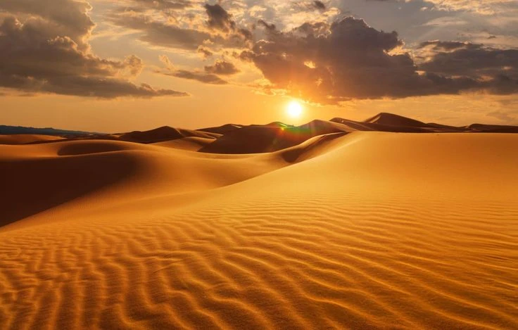 Safari dans le désert du Sahara